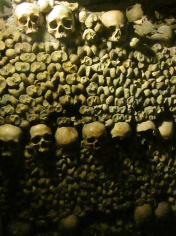 Paris catacomb 