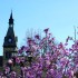 Outside Bush Center, take in the sights of Old Main and some beautiful flowering trees. The hum of traffic on Hewitt gives this spot just the right mix of urban and nature.