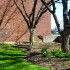 When school and finals get a bit much, take a break in this quiet grassy area. Take in the sights of beautiful red tulips and other flowering plants. Watch the trees begin to grow leaves. Hidden away from the main paths frequented by loud students, this area is a great place for a nap, some self-reflection on what you’re doing with your life or maybe even a nice cry.